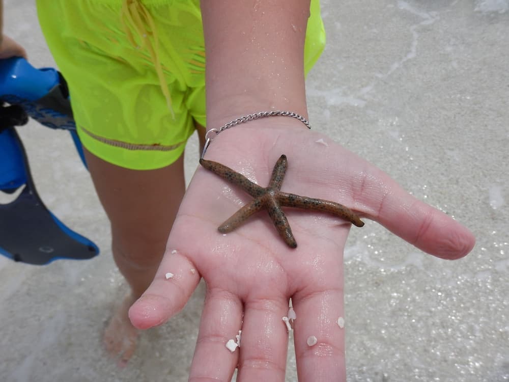 Ocean Beach Inn - Maldives - View 46