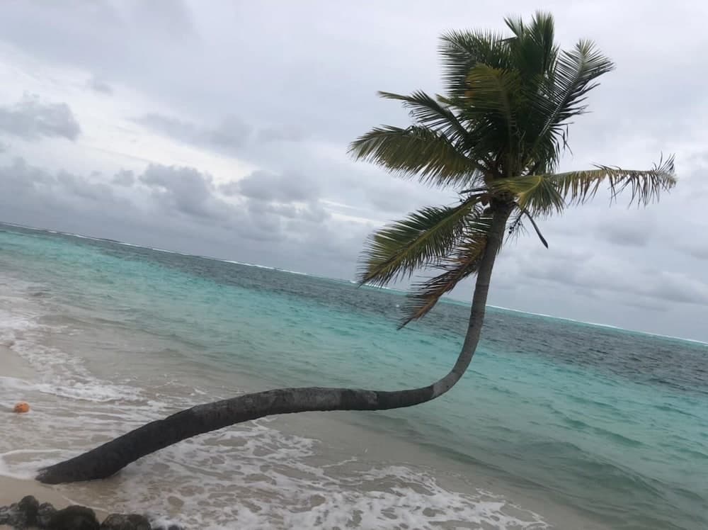 Annama Lodge And Dive - View 33