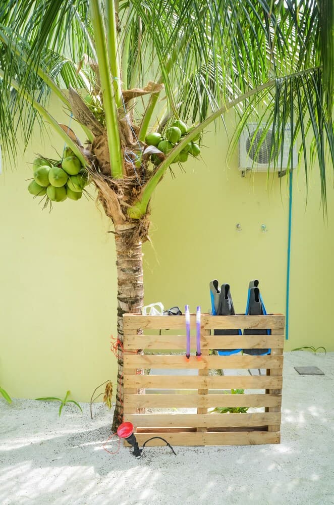 Whale Shark Inn Maldives - View 20