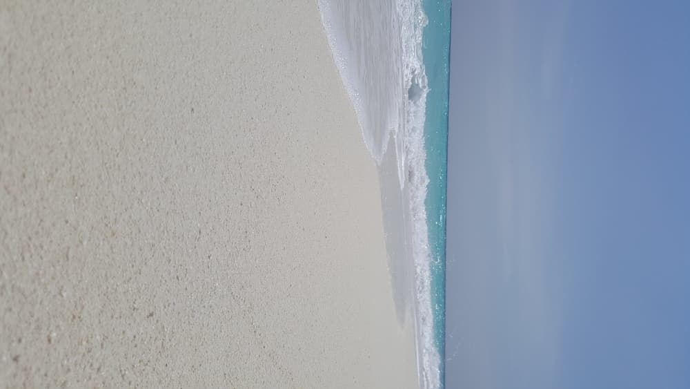 House Clover Hana - View 12