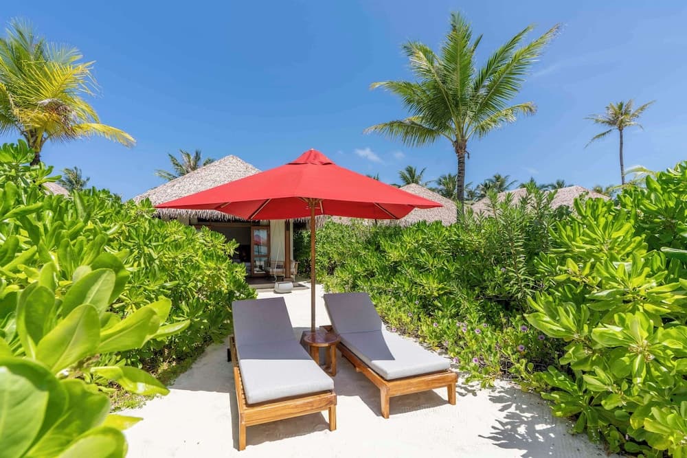 Hotel Whale Lagoon Maldives - View 139