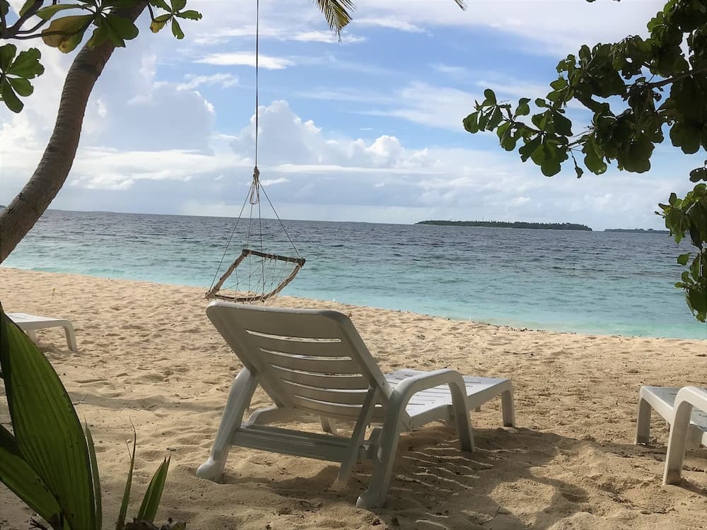 LVIS blancura - View 24