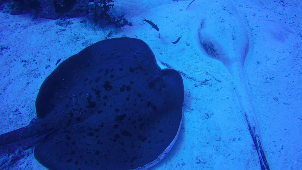 Rasdhoo Holiday Home - View 112