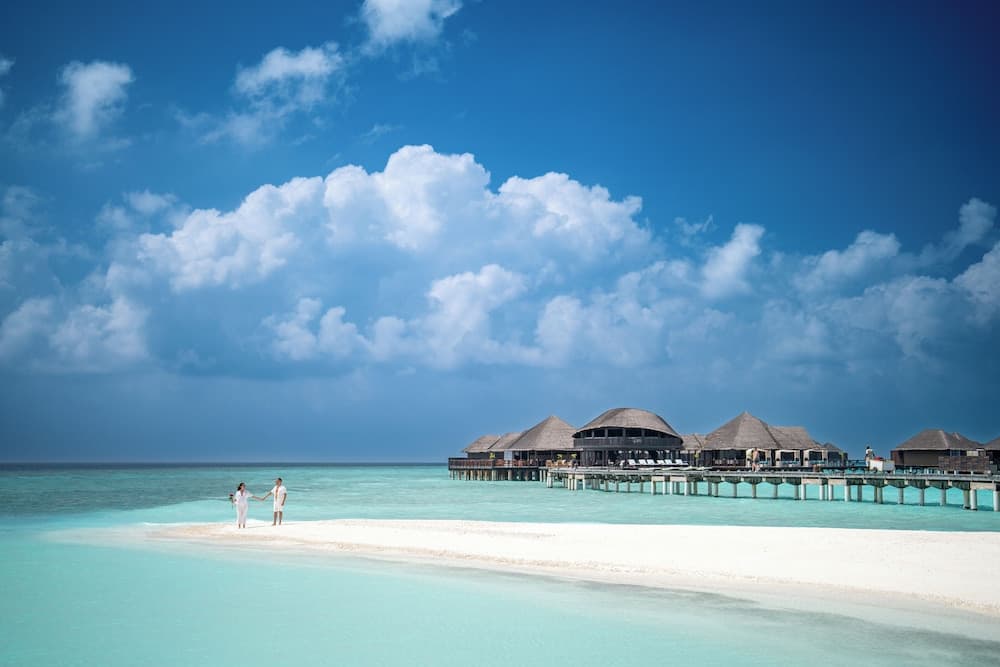 Coco Bodu Hithi - View 147