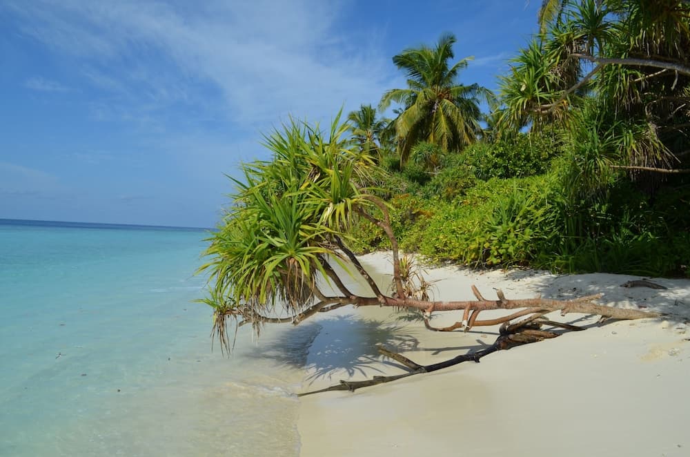 Ocean Beach Maldives - View 24