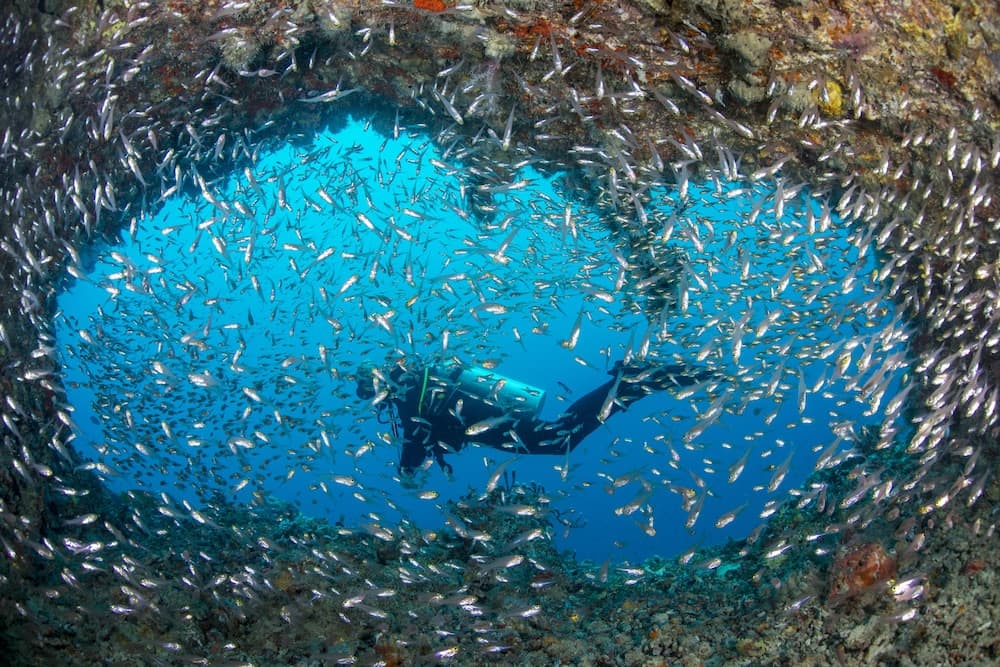 Sandies Bathala - View 45