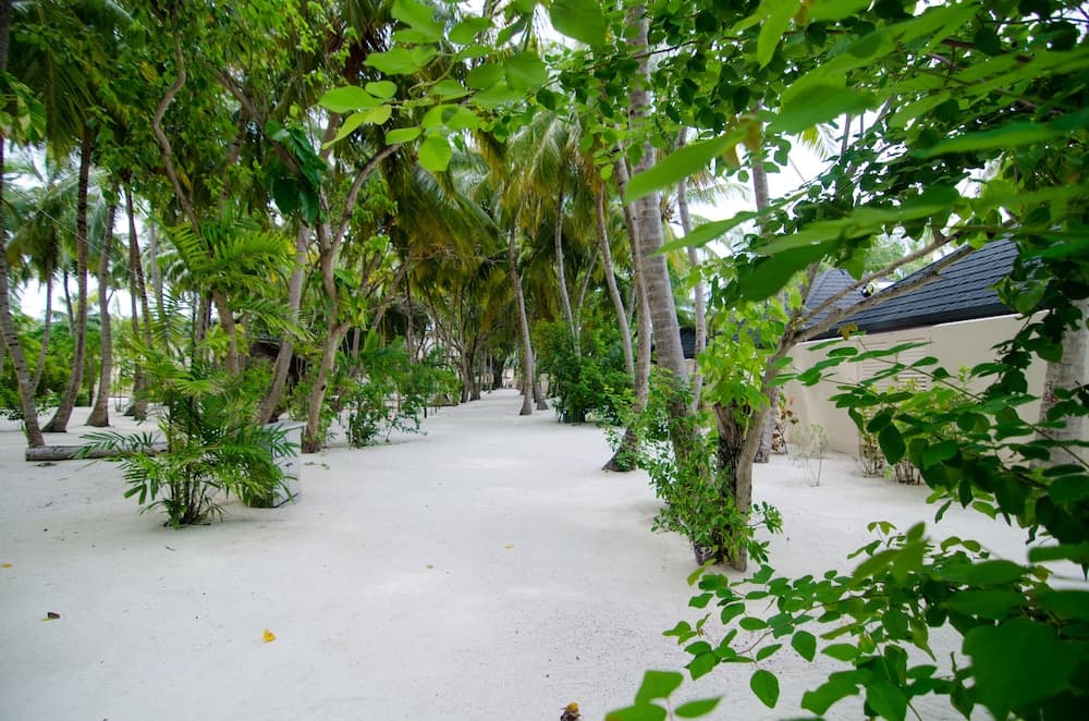 Summer Island Maldives - View 25
