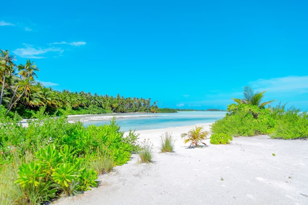 Rahaa Resort Maldives - View 60