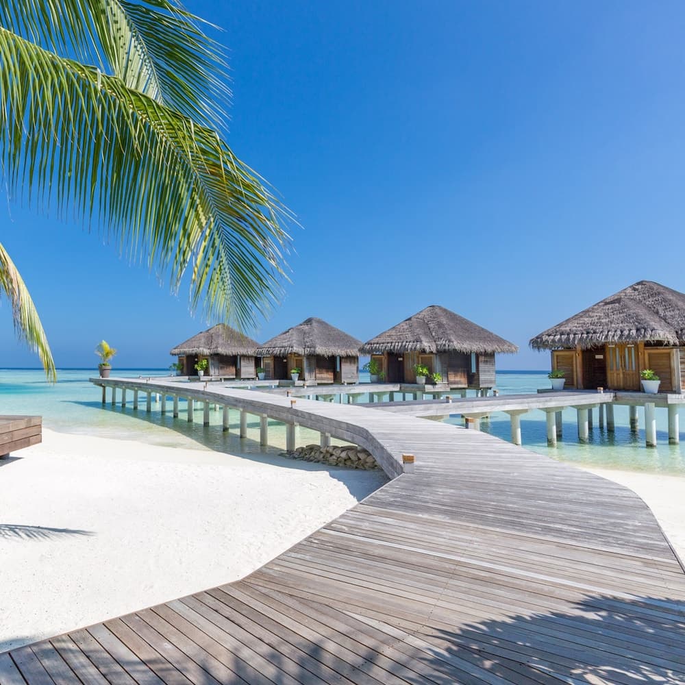 LUX* South Ari Atoll - View 5