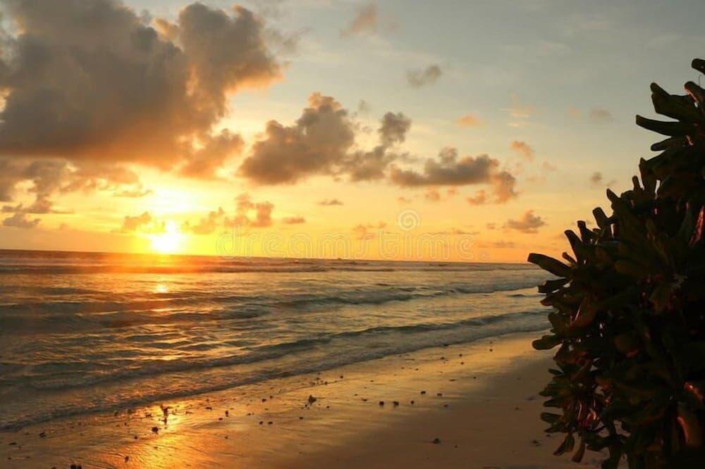 Equator HomeStay - View 19