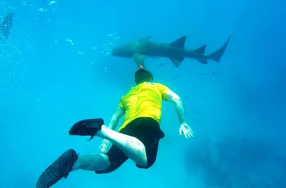 Adroit Beach Inn - View 54