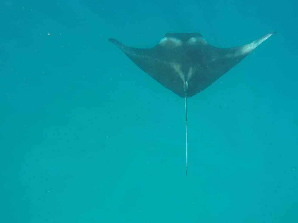 Mathiveri Inn - View 10