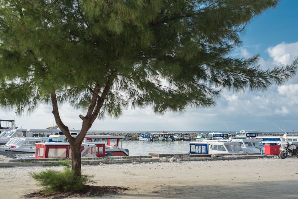 iCom Marina Sea View - View 7