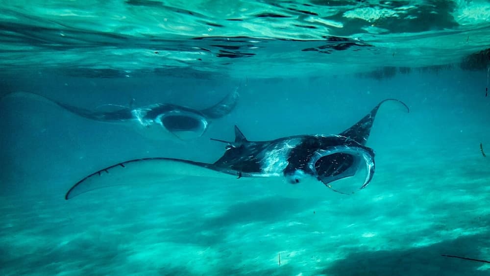 Three Hearts Guesthouse - View 11