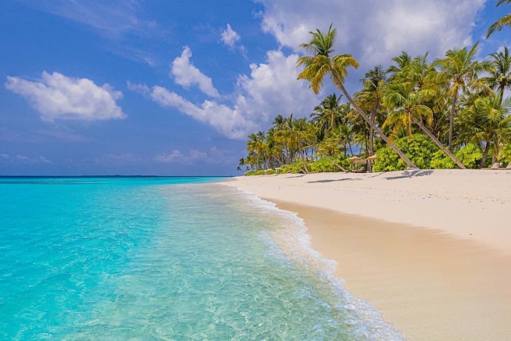 Siyam World Maldives - 24-Hour Premium All-inclusive with Free Transfer - View 52