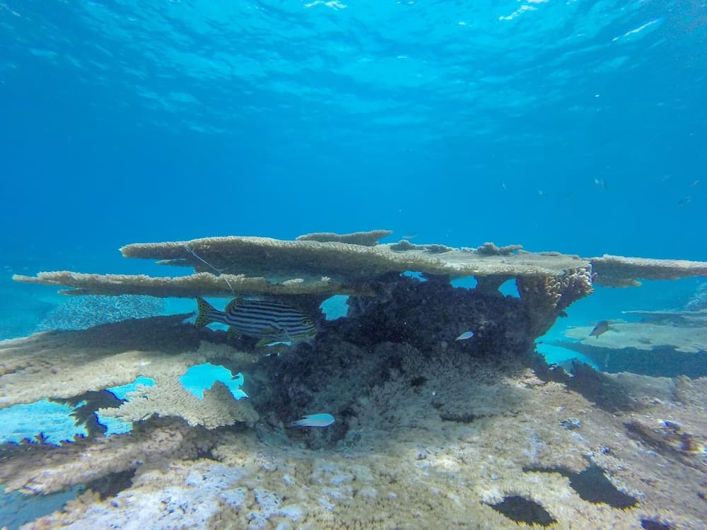 Starry Night At Ukulhas - View 64