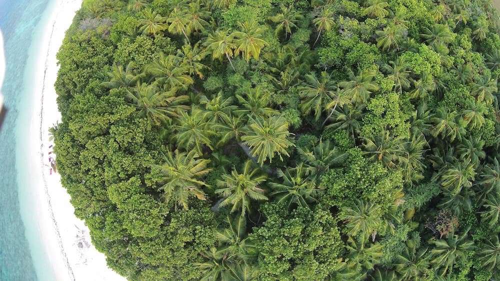 Dharavandhoo Stay - View 20