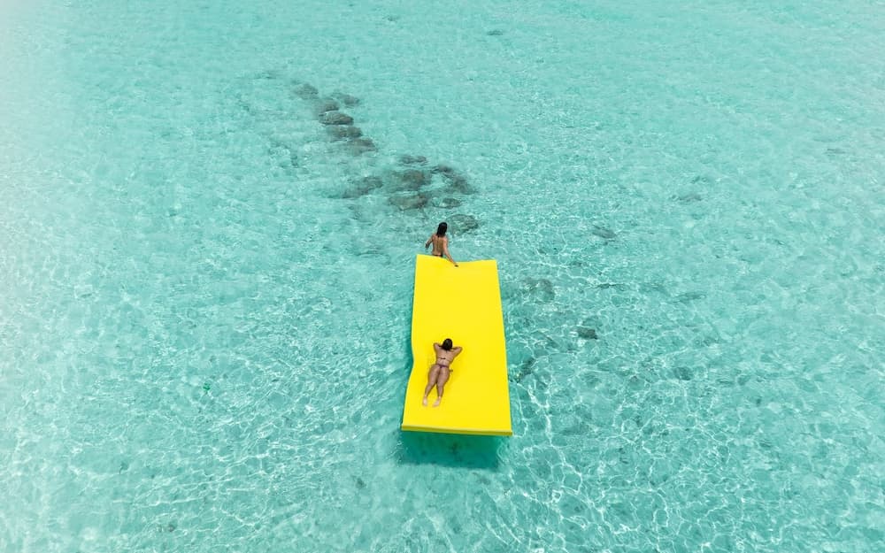 Stay Mikado - View 4