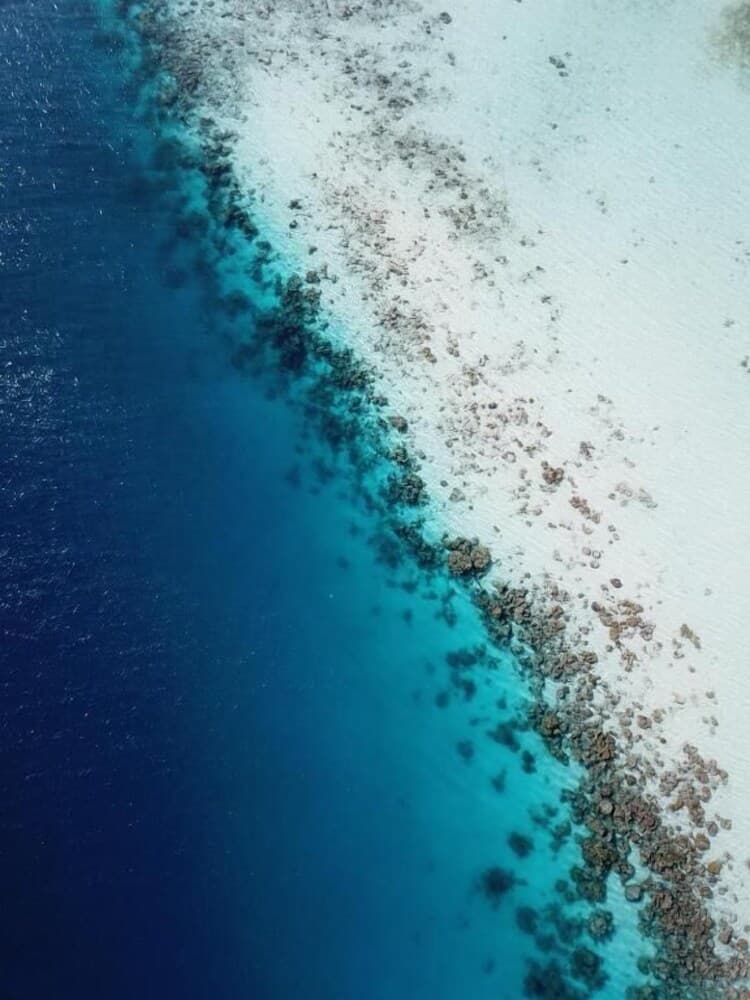 One The Island - View 37