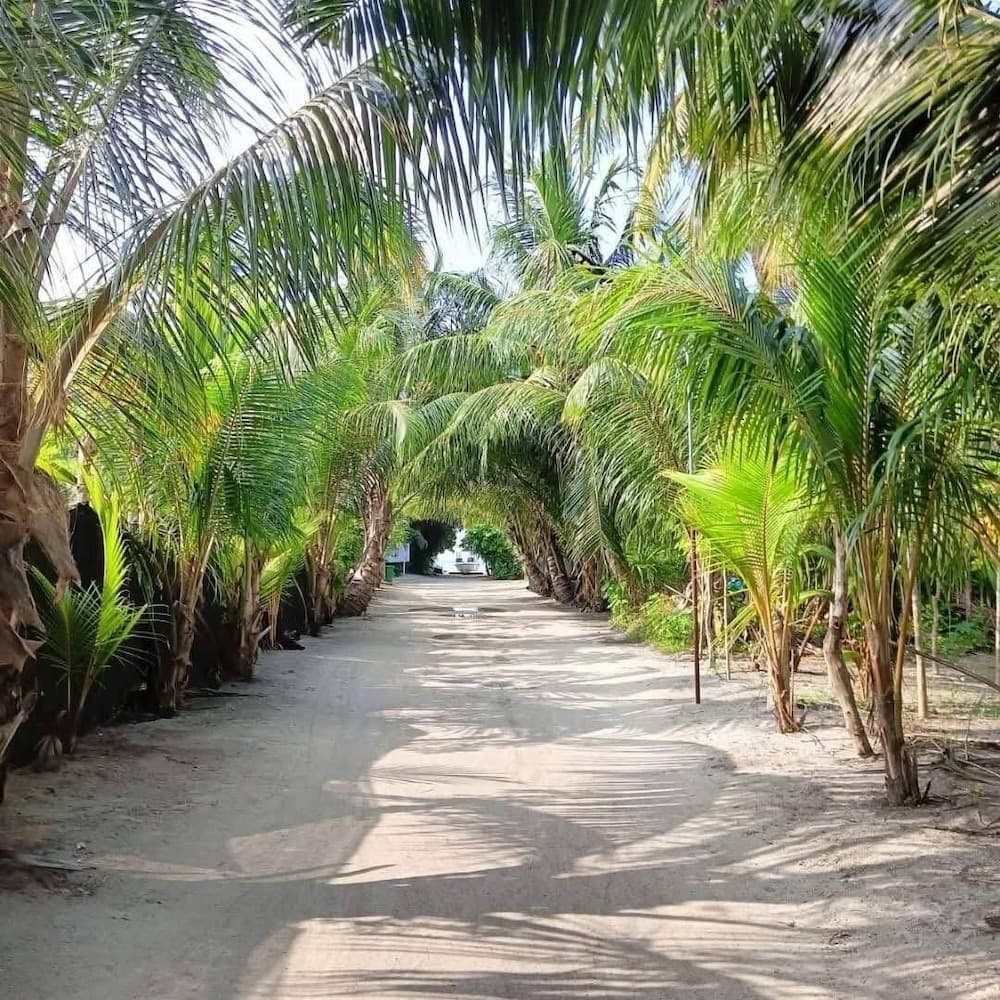 Ale sara guest house - View 8