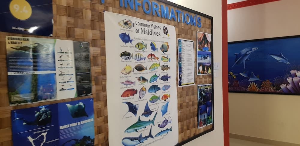 Equa Reef Maldives - View 2