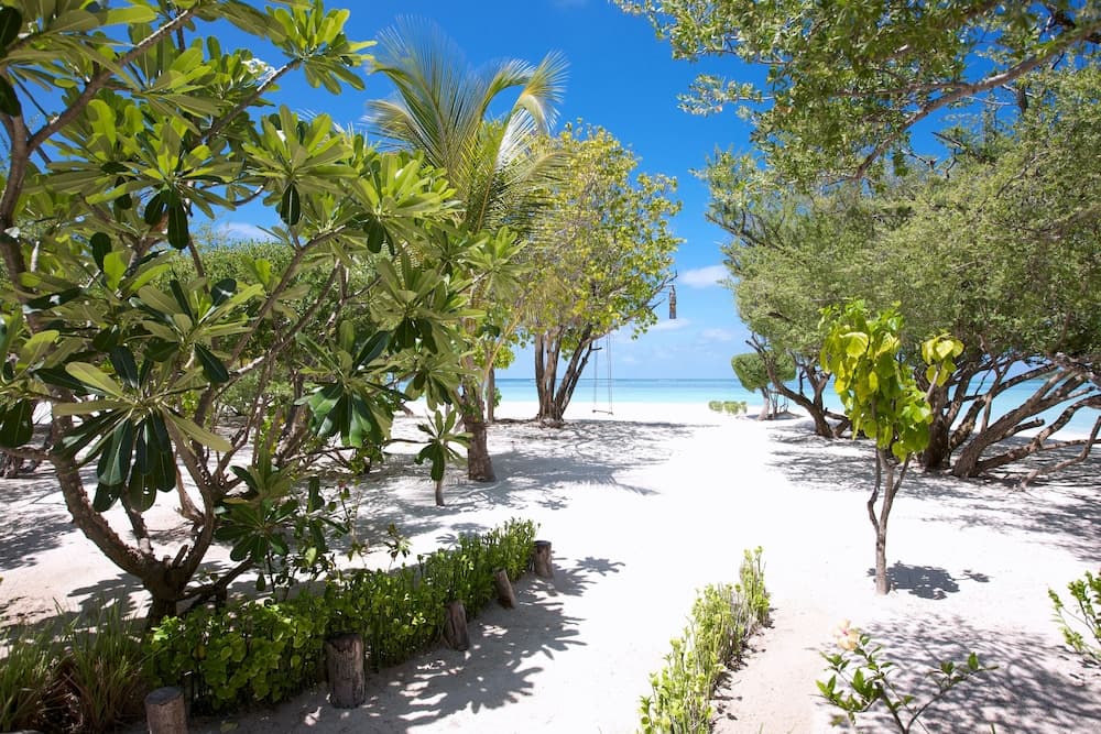 LUX* South Ari Atoll - View 141