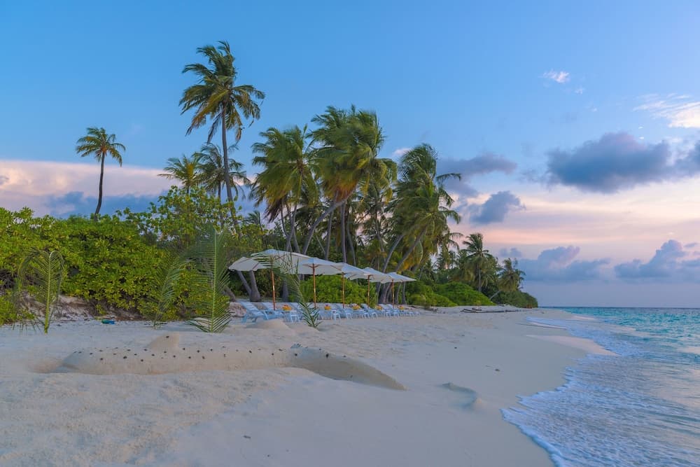 Sabba Summer Suite Maldives - View 28