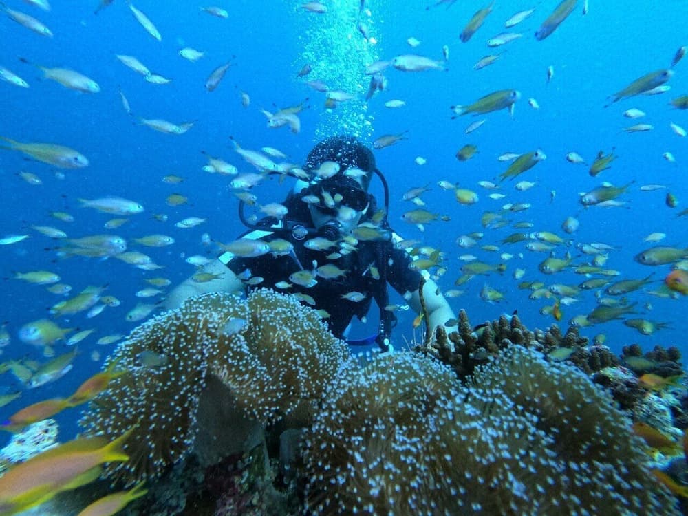 Ruka Maldives - View 17