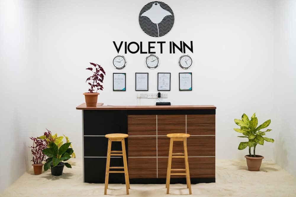 VIOLET INN - View 20