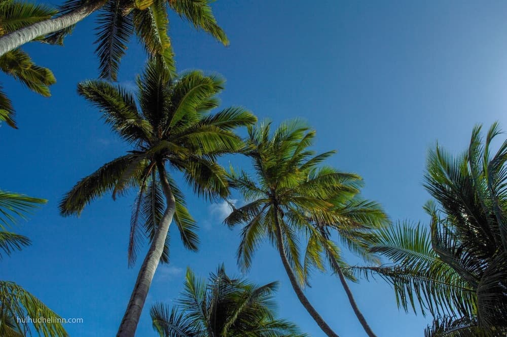 Hulhudheli Inn - View 100