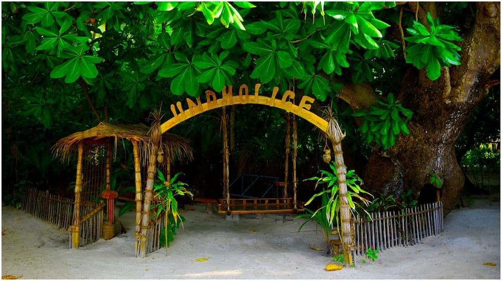 Biyadhoo Island Resort - View 64