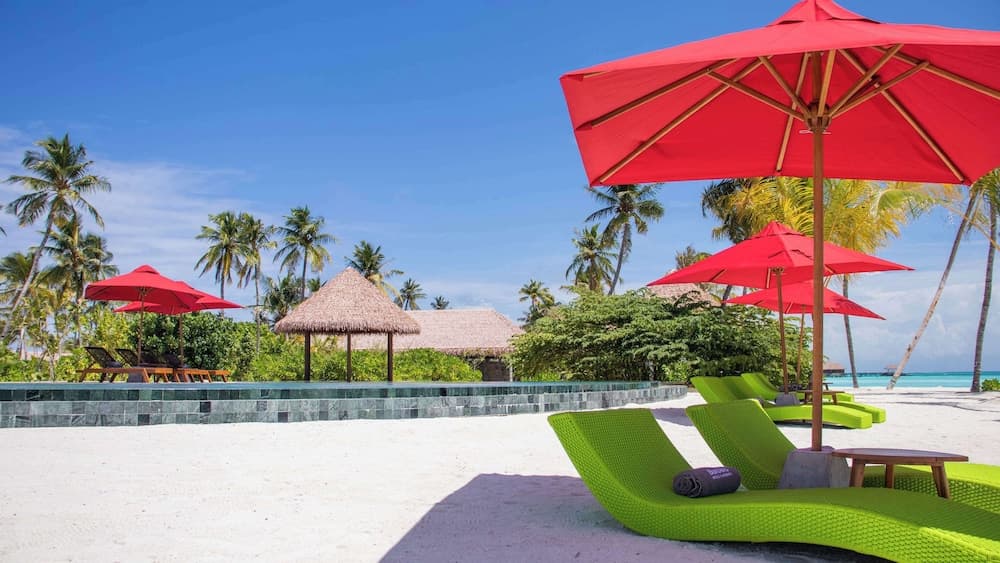 Hotel Whale Lagoon Maldives - View 86