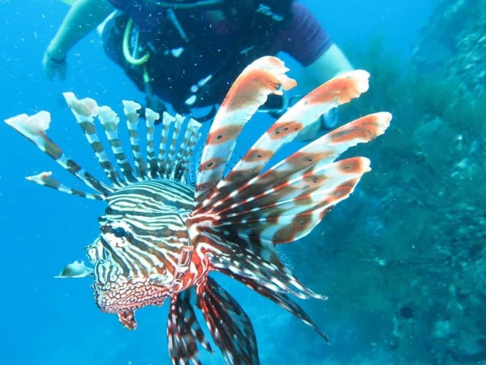 Hideaway inn - View 7