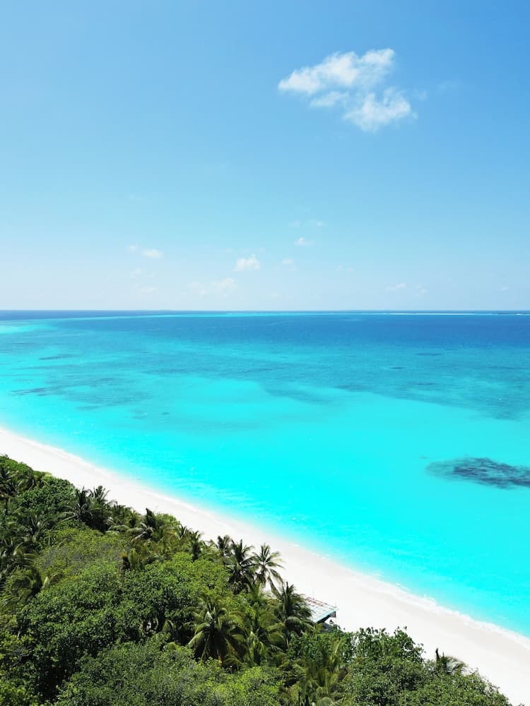 Blue Coral Vashafaru - View 43