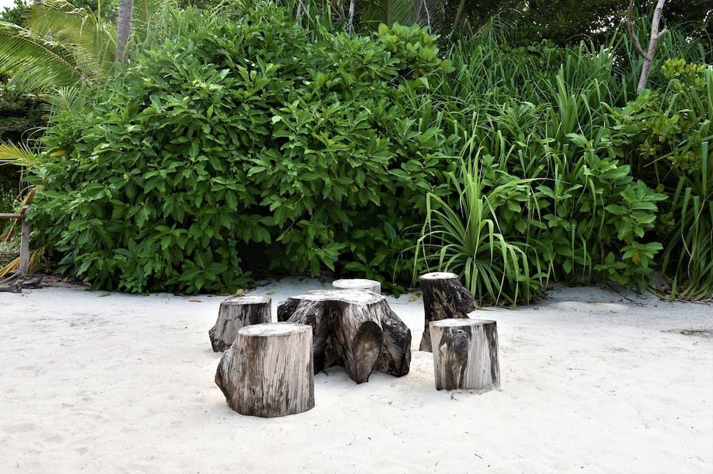 Kuri Beach View Inn - View 31