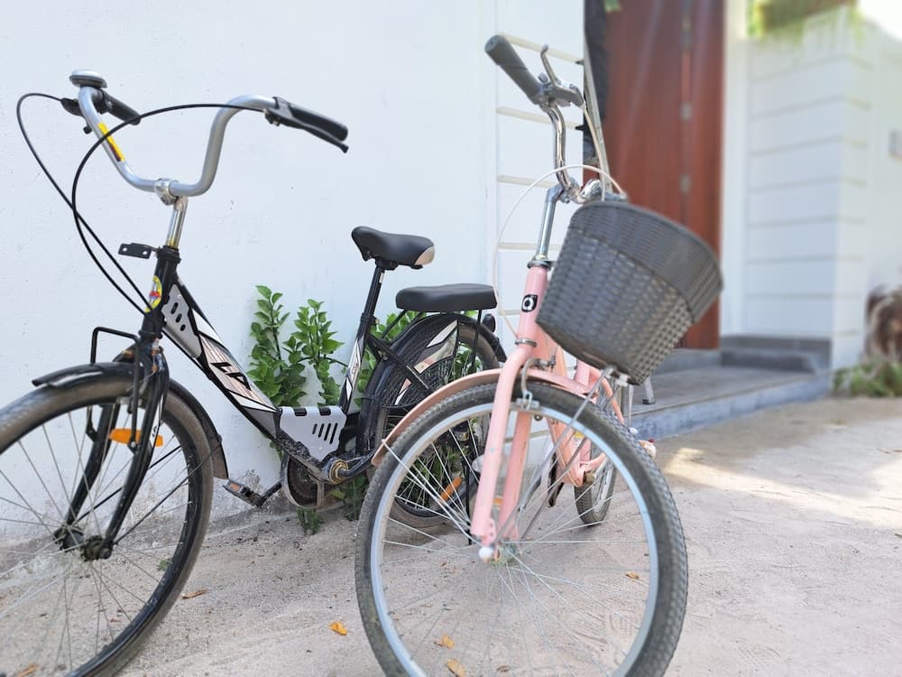 Shams Thoddoo - View 21