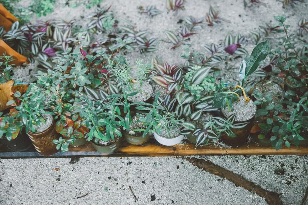 Midsummer Thulusdhoo - View 49