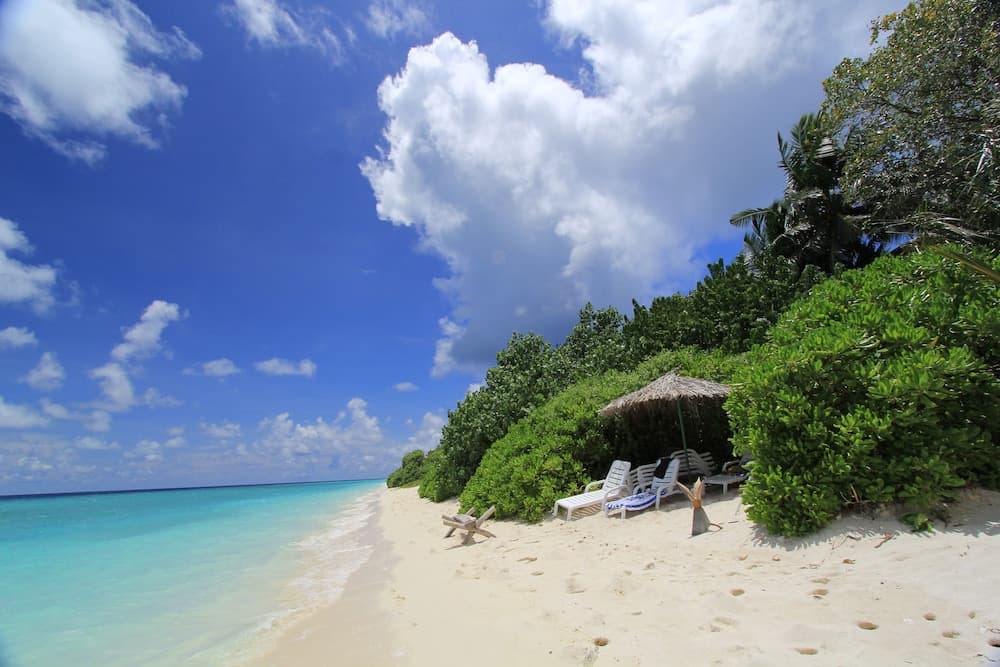 Paguro Beach Inn - View 1