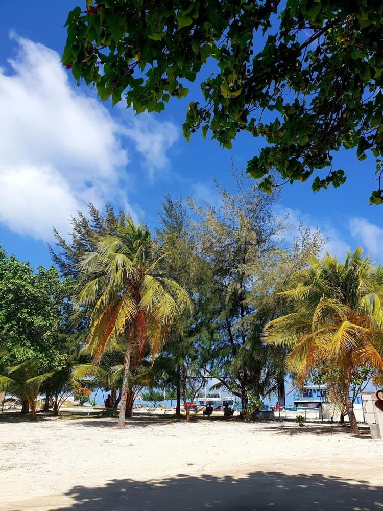 Hibiscus Holidays - View 27