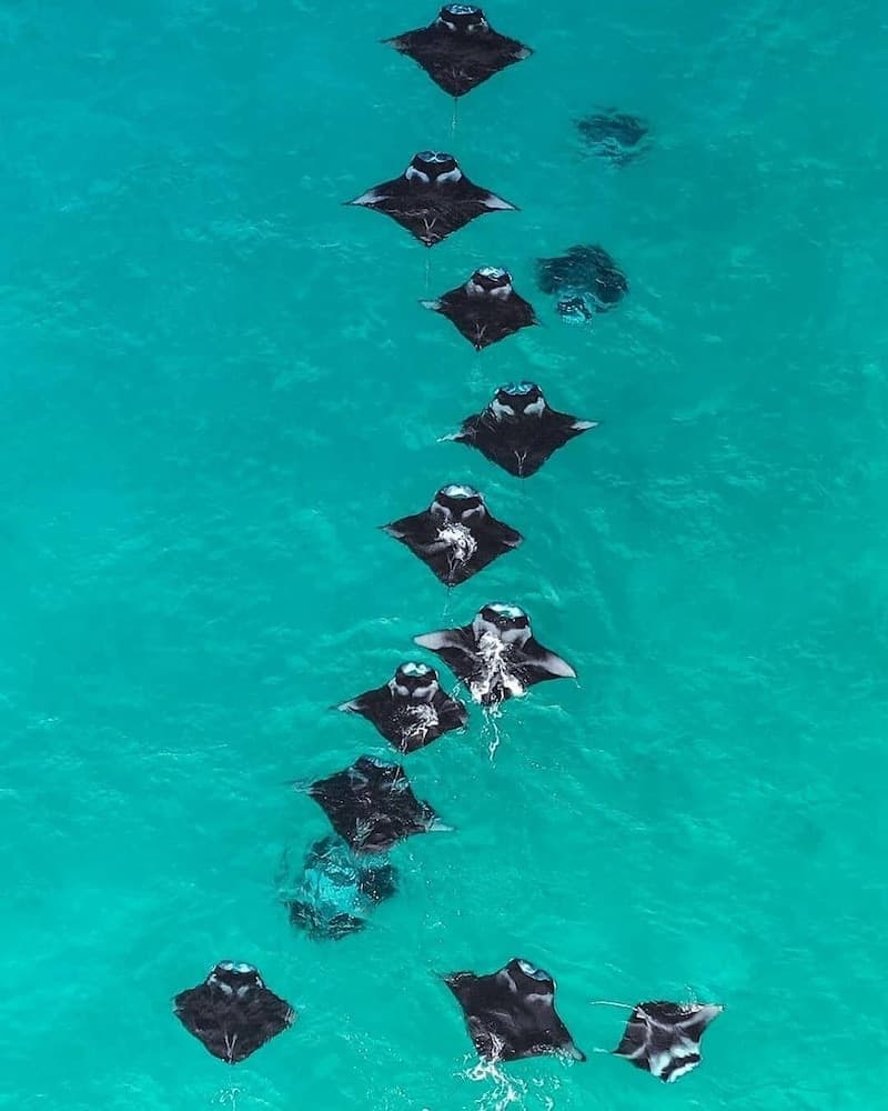 Dhoani Maldives Guesthouse - View 41