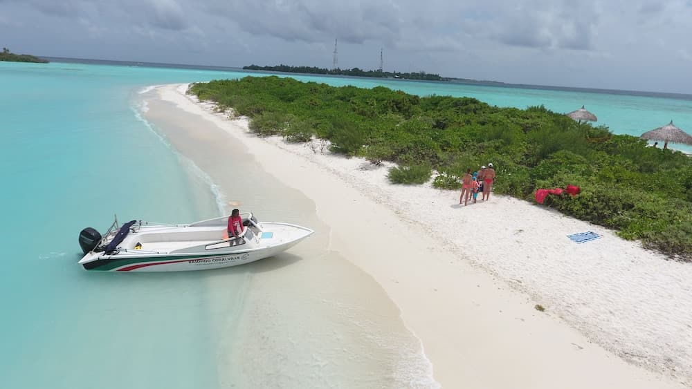 Palm Residence - View 41