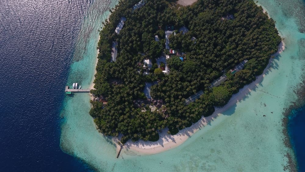 Biyadhoo Island Resort - View 70
