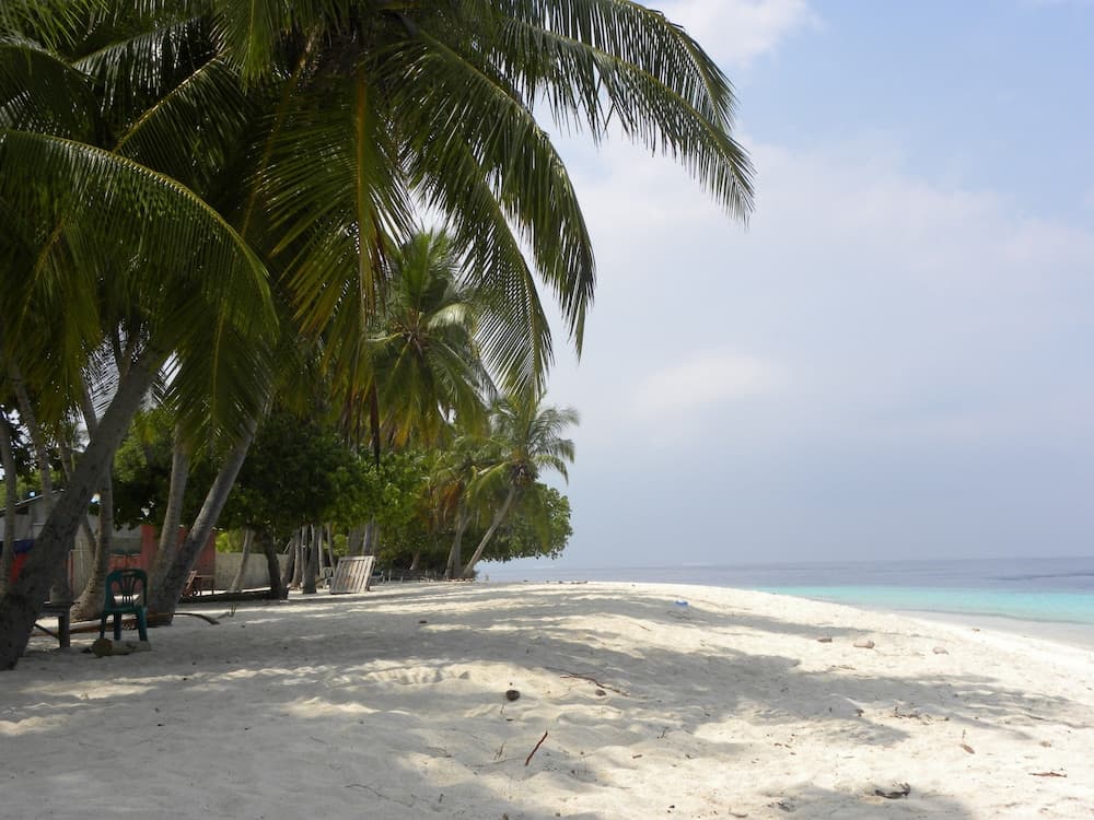 Madi Finolhu Guesthouse - View 24