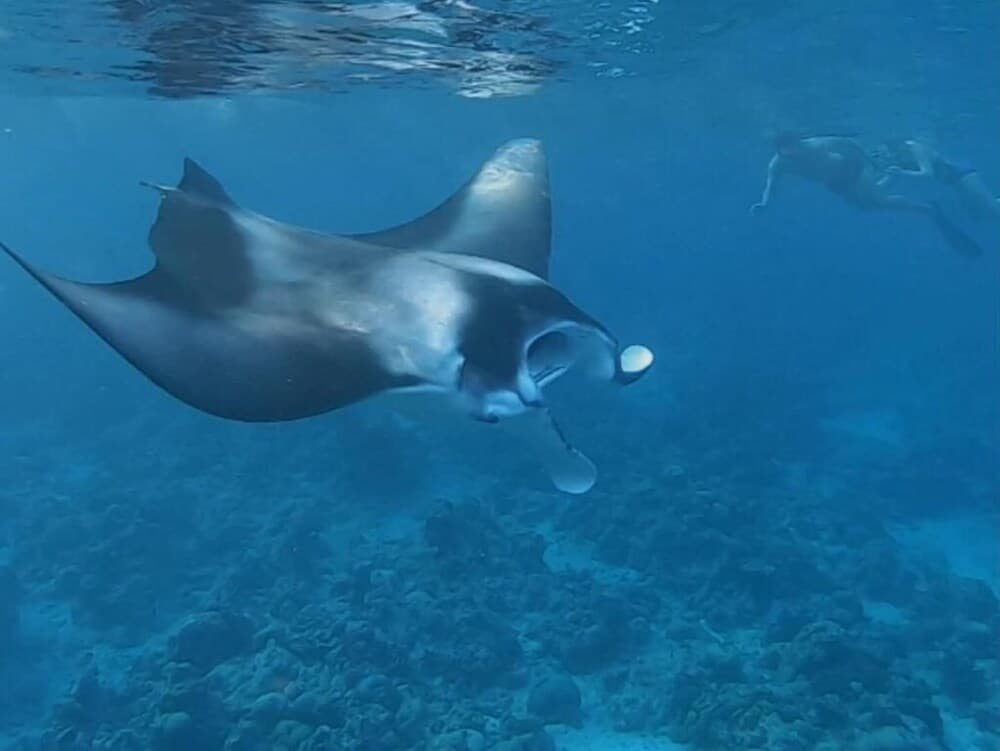 Nihaali Maldives - View 33