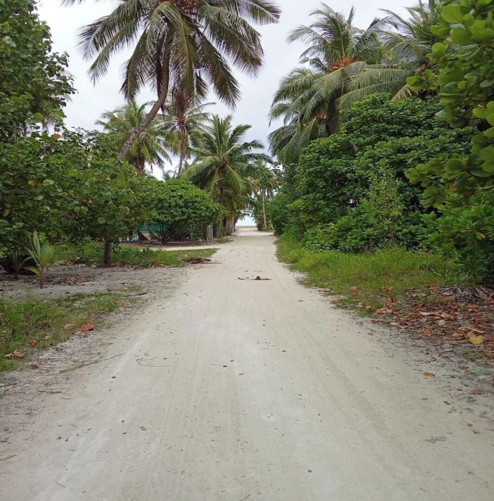 Sea Breeze View - View 19