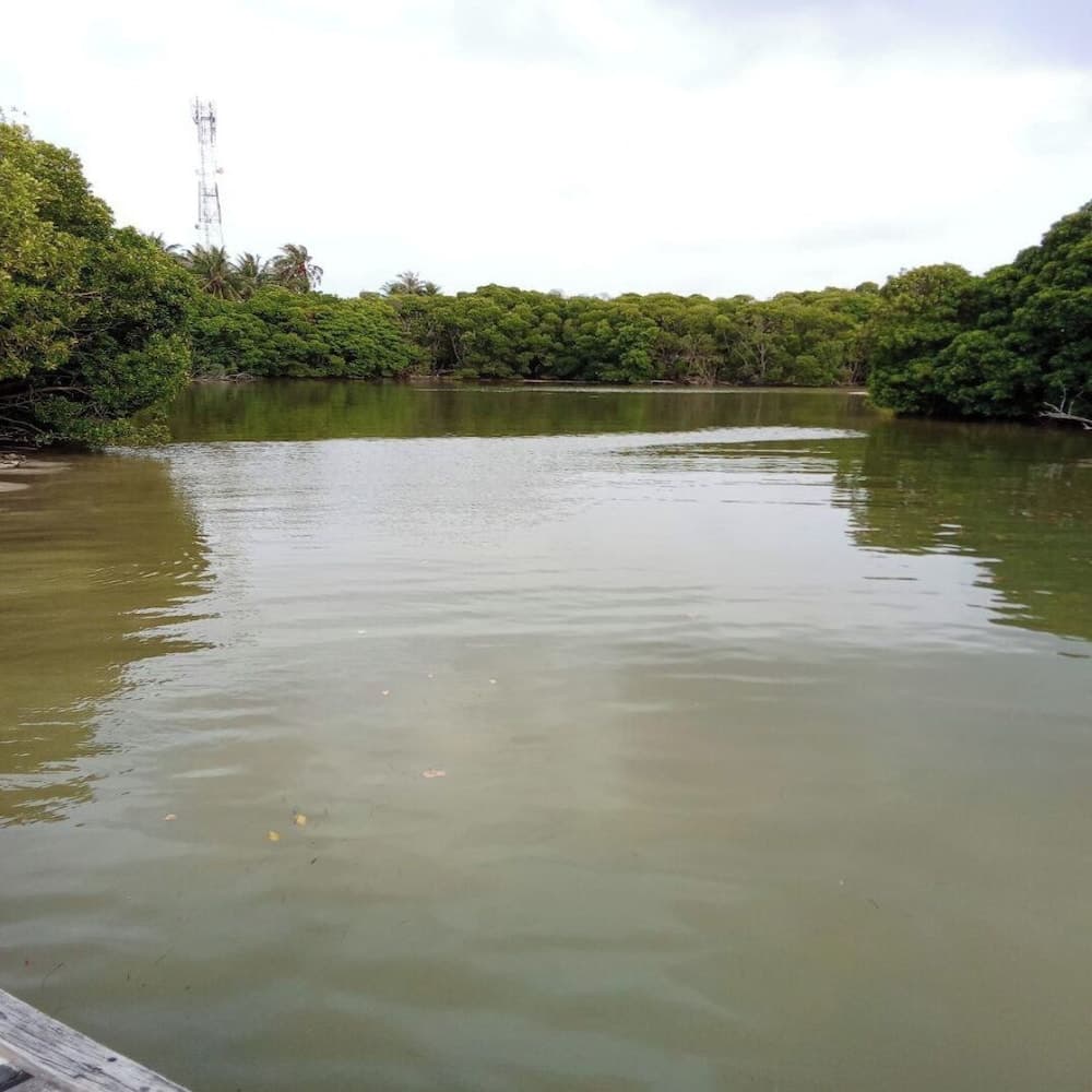 Sea Breeze View - View 9