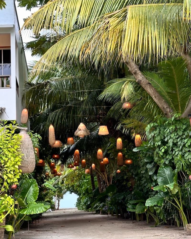 Odi Kamadhoo - View 31