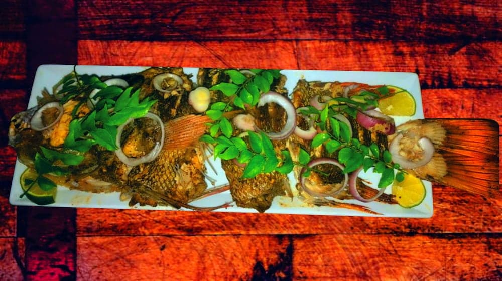 Adroit Beach Inn - View 78