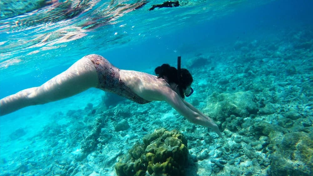 Adroit Beach Inn - View 61