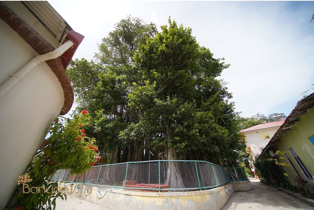 Banyan Villa Maldives - View 25